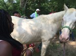 Campers learn about caring for horses and how to ride them