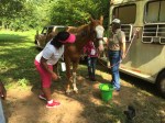 Campers learn about caring for horses and how to ride them