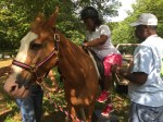 Campers learn about caring for horses and how to ride them