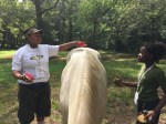 Campers learn about caring for horses and how to ride them