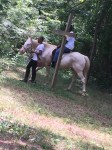 Campers learn about caring for horses and how to ride them