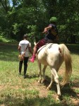 Campers learn about caring for horses