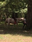 Campers learn about caring for horses