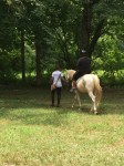 Campers learn about caring for and riding horses
