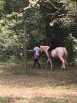 Campers learn about caring for and riding horses