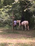 Campers learn about caring for and riding horses