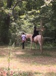 Campers learn about caring for and riding horses