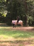 Campers learn about caring for and riding horses
