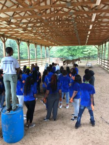 Group in arena with horses