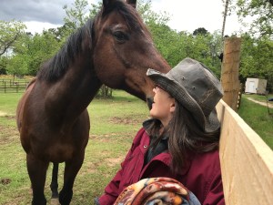 Horse eyeing a camera