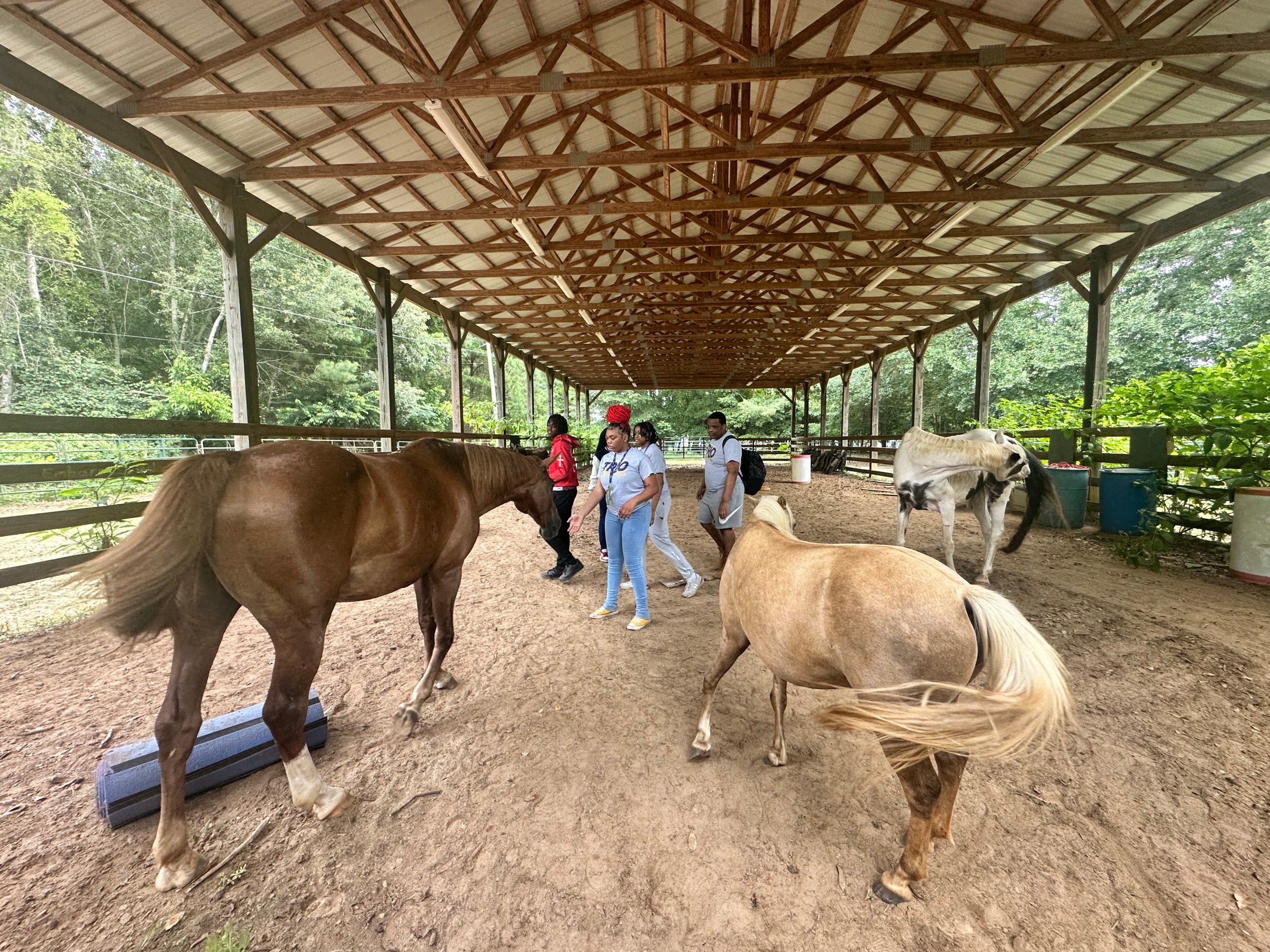 Three horses around a group of people. The horses' tails are in movement.