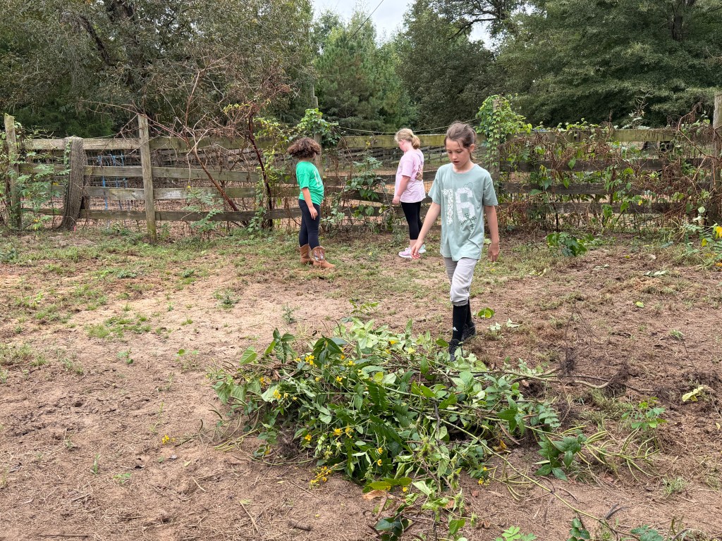 Three children working in an outdoor area, one child walking near a pile of cut branches, with wooden fence and trees in the background.